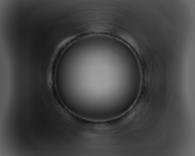 X0000100400979200806061312