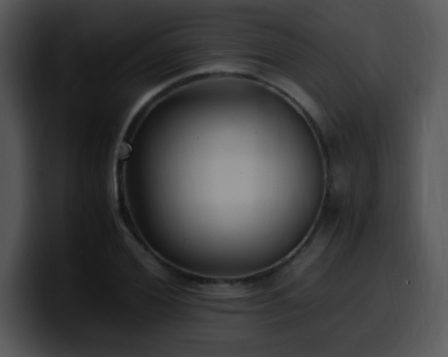 X0000100400980200806061312