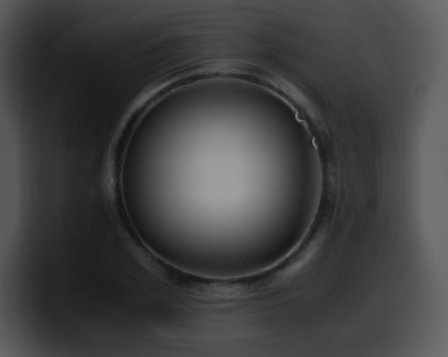 X0000100400981200806061312