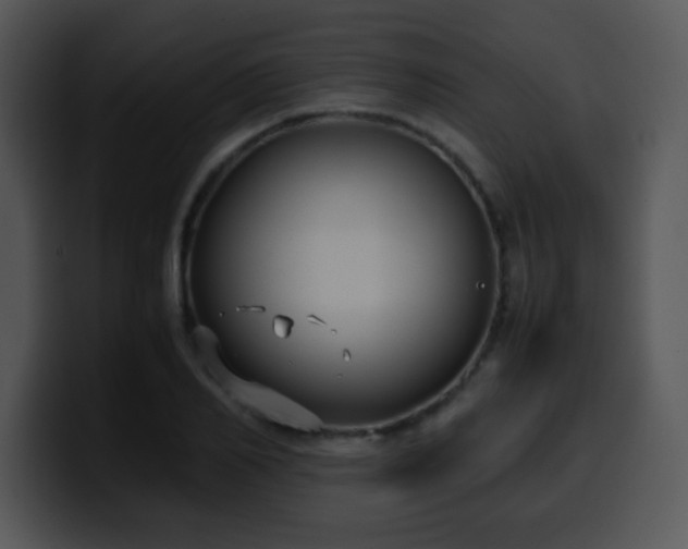 X0000100400982200806061312