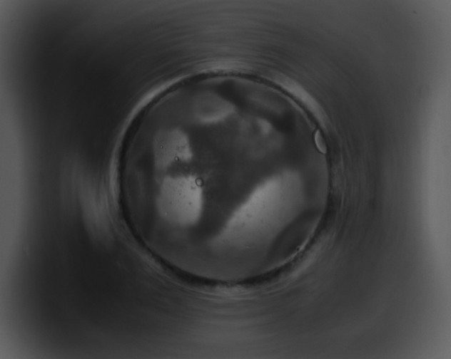 X0000100400983200806061312