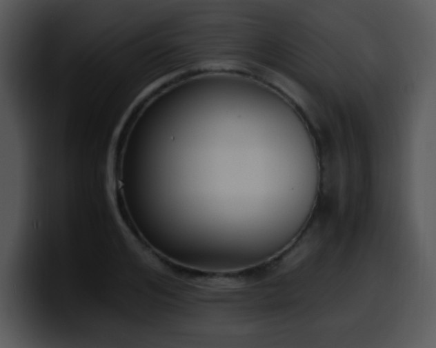 X0000100400984200806061312