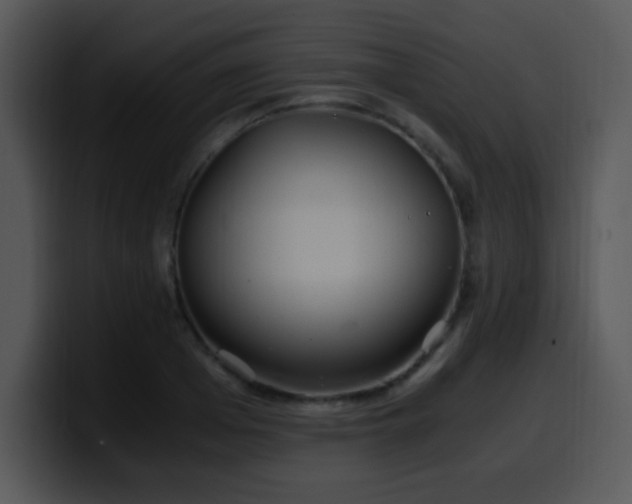 X0000100400985200806061312