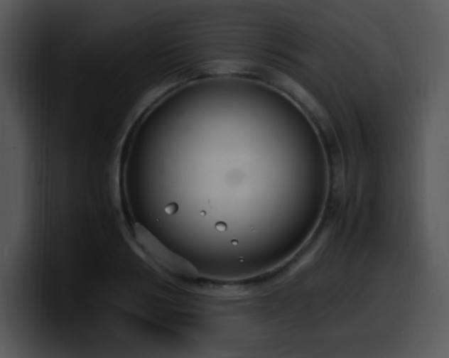 X0000100400986200806061312