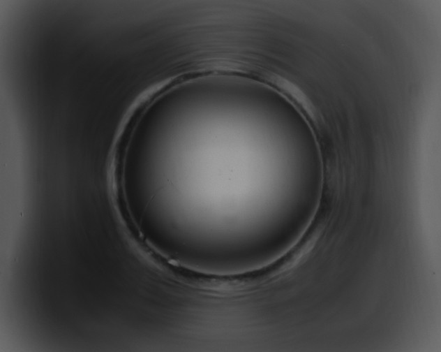X0000100400987200806061312