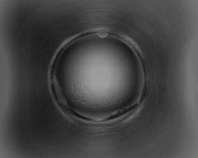 X0000100400989200806061312