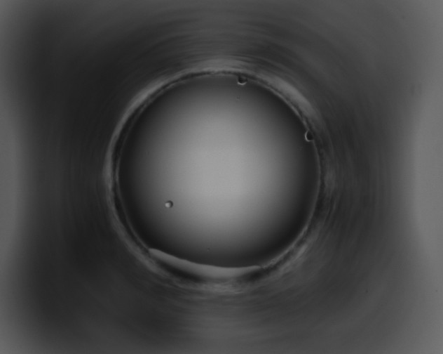 X0000100400990200806061312