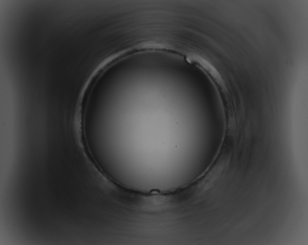 X0000100400992200806061312