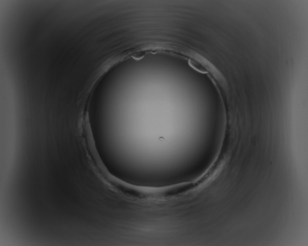X0000100400993200806061312