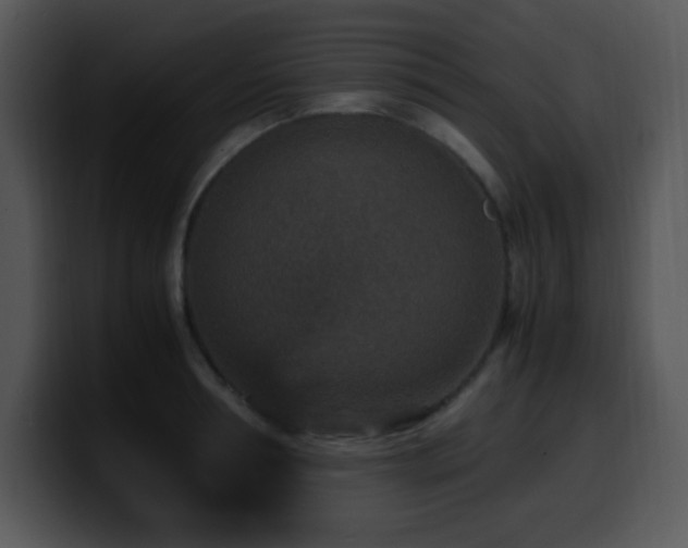 X0000100400994200806061312