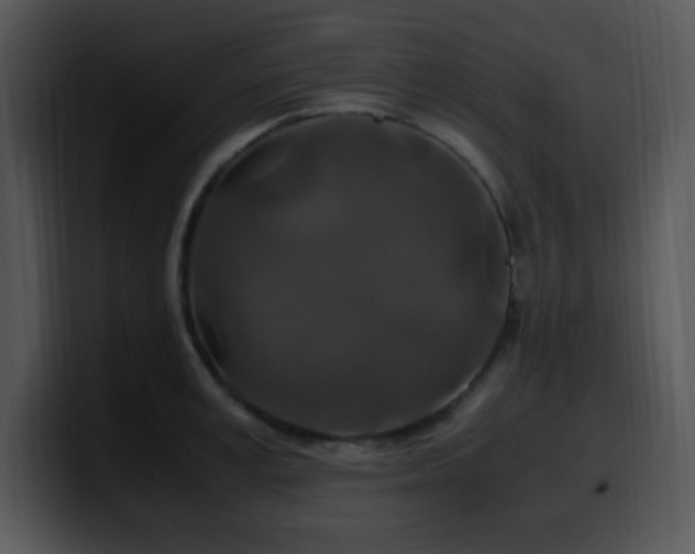 X0000100400995200806061312