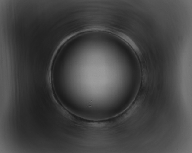 X0000100400996200806061312