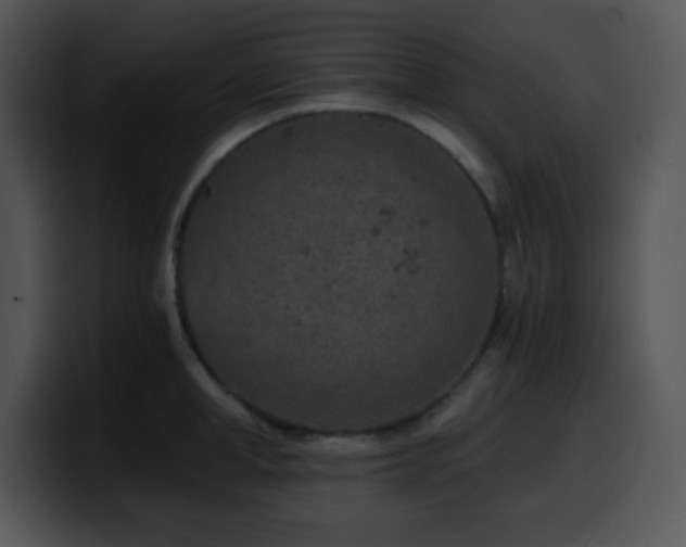X0000100400998200806061312