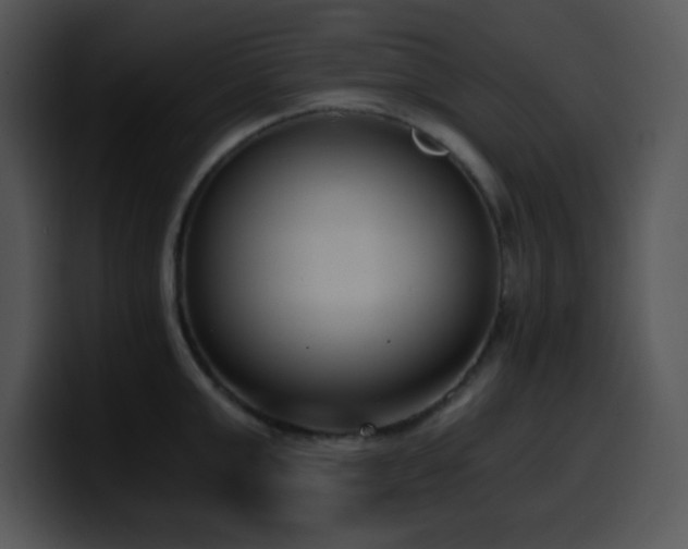 X0000100400999200806061312