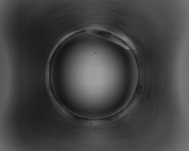 X0000100401000200806061312