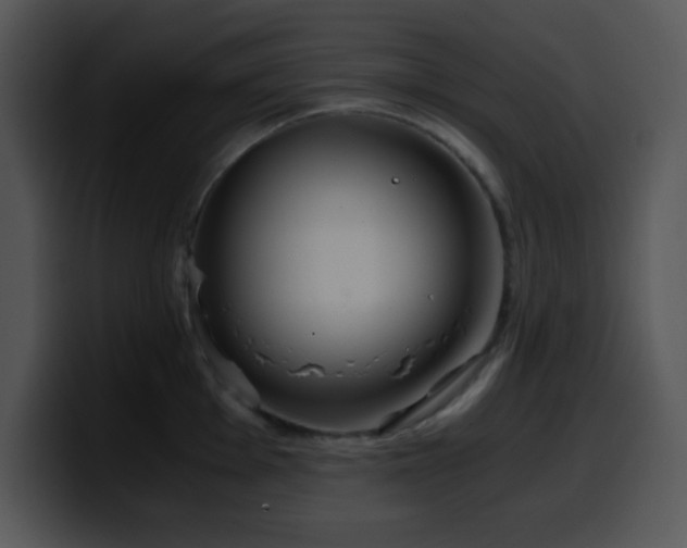 X0000100401001200806061312