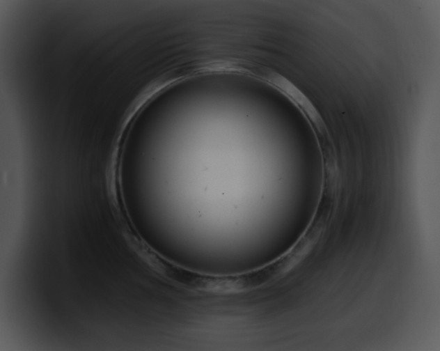 X0000100401002200806061312