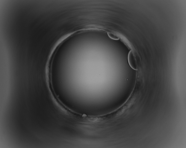 X0000100401003200806061312