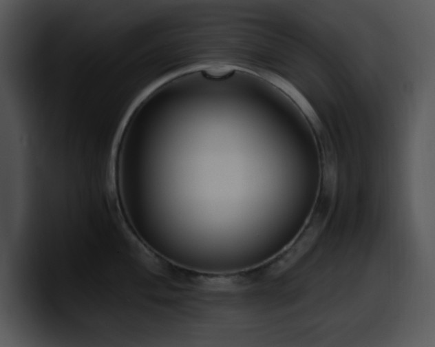 X0000100401004200806061312