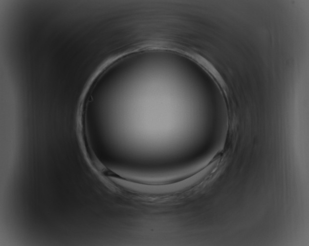 X0000100401005200806061312