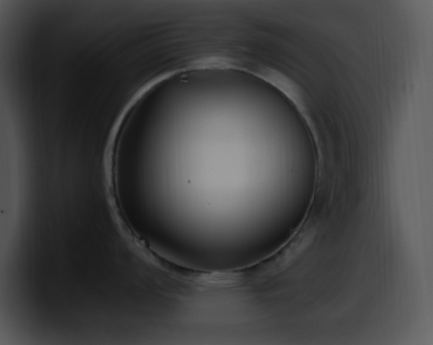 X0000100401008200806061312