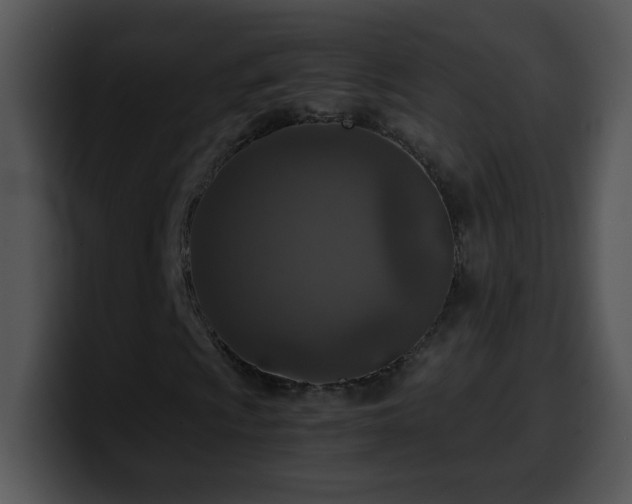 X0000100401009200806061311