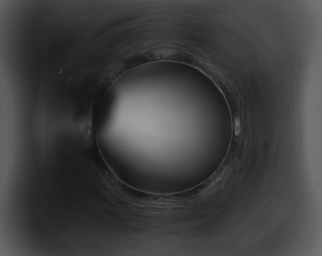 X0000100401011200806061311