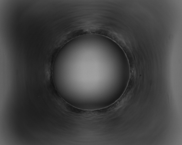 X0000100401012200806061311