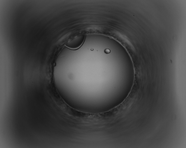 X0000100401015200806061311