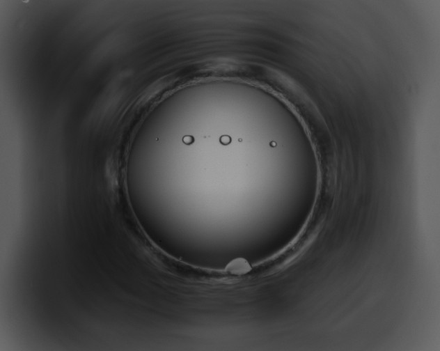 X0000100401017200806061311