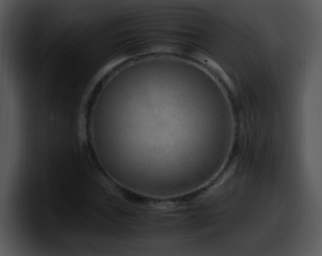 X0000100401019200806061311