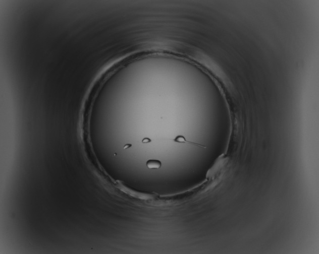 X0000100401020200806061311