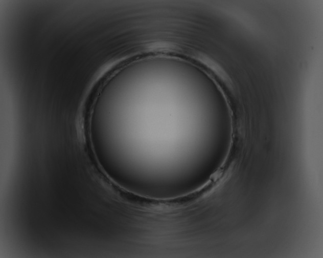 X0000100401022200806061311