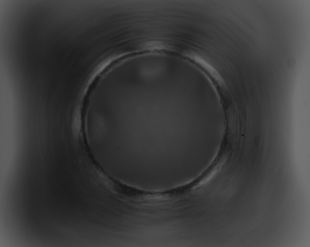 X0000100401023200806061311