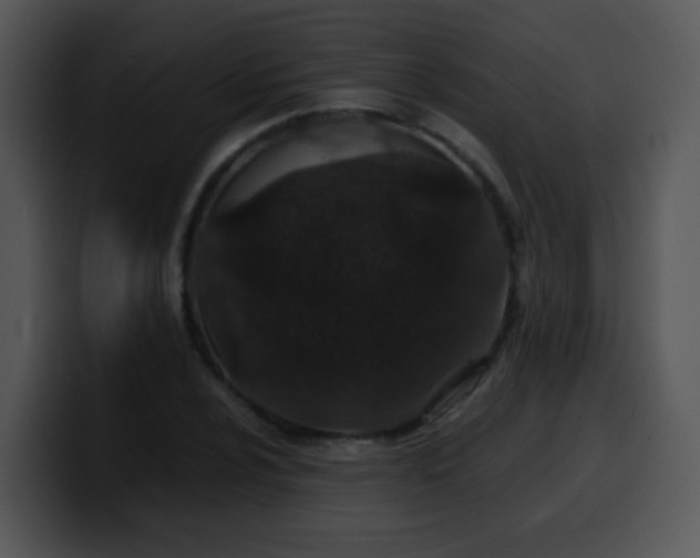 X0000100401024200806061311