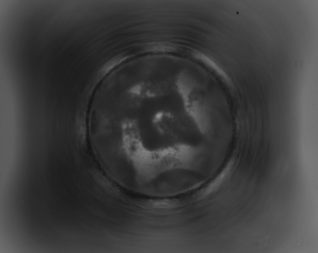 X0000100401025200806061311