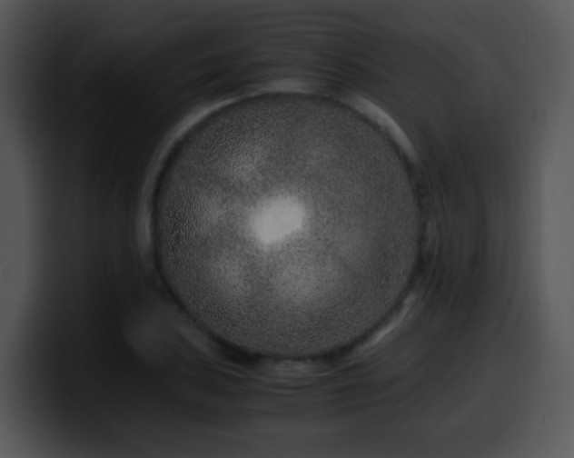 X0000100401027200806061311