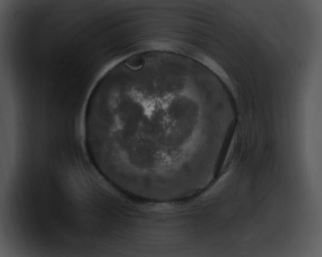 X0000100401028200806061311