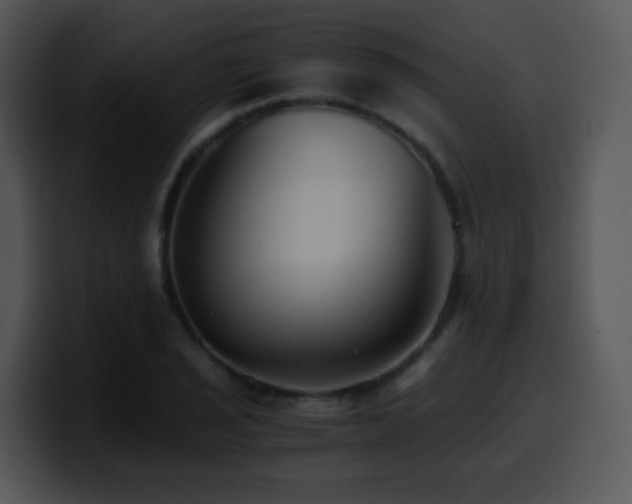 X0000100401029200806061311