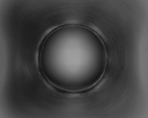 X0000100401030200806061311