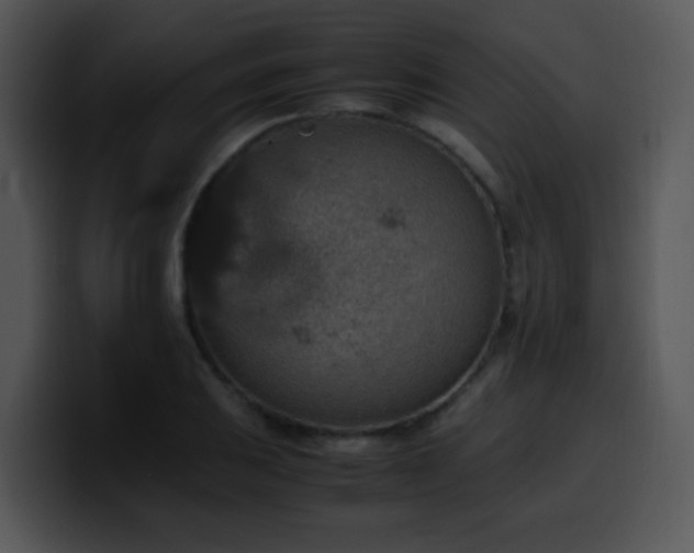 X0000100401031200806061311