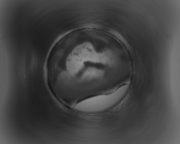 X0000100401032200806061311