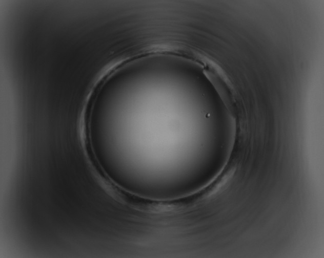 X0000100401034200806061311