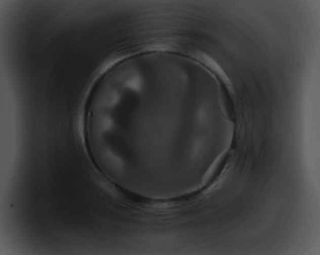 X0000100401035200806061311