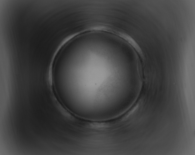 X0000100401036200806061311