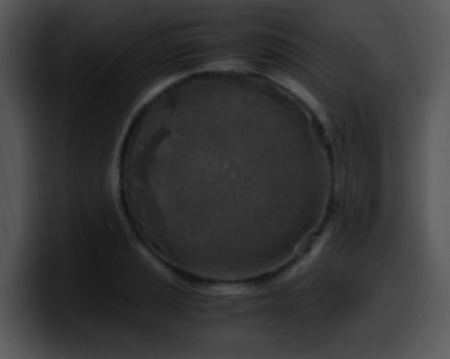 X0000100401037200806061312