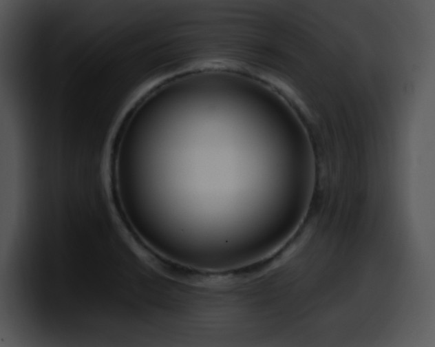 X0000100401038200806061312
