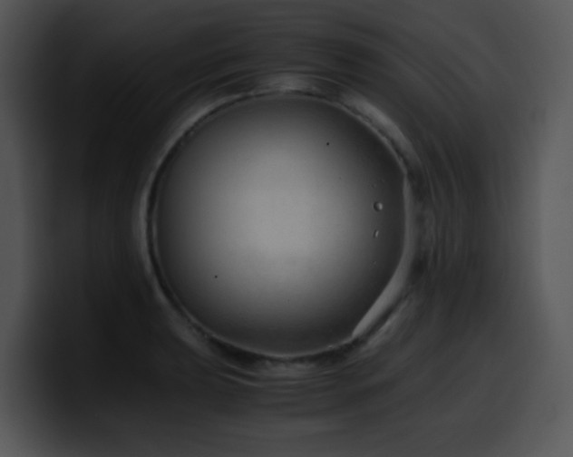 X0000100401039200806061312