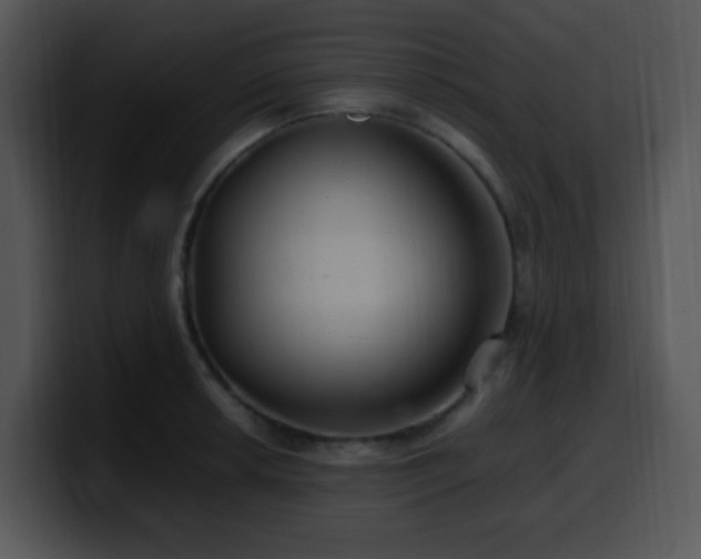 X0000100401042200806061312