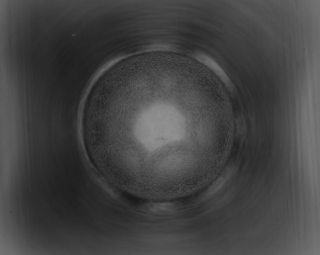 X0000100401043200806061312